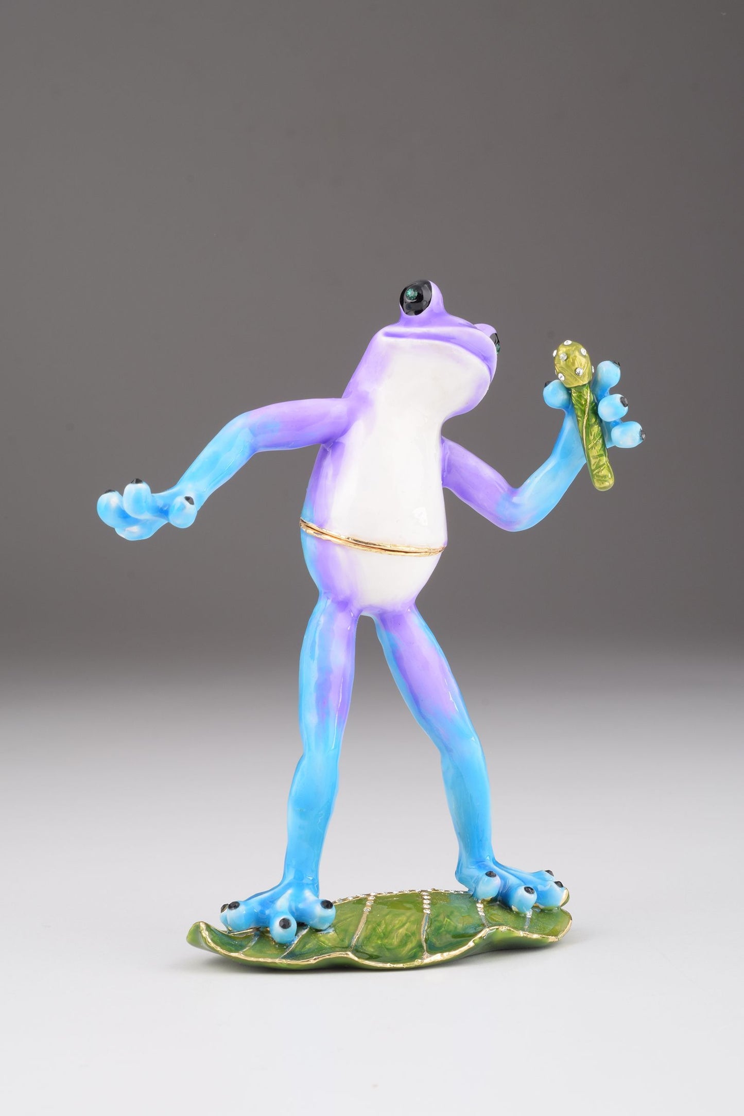 Singing Frog on a Leaf